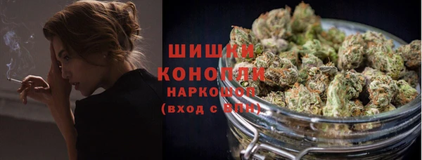 спайс Бородино