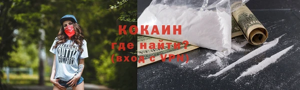 метадон Богданович