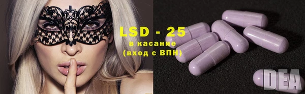 метадон Богданович