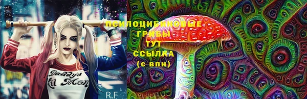 твердый Бронницы