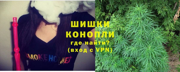 гидра Верхний Тагил