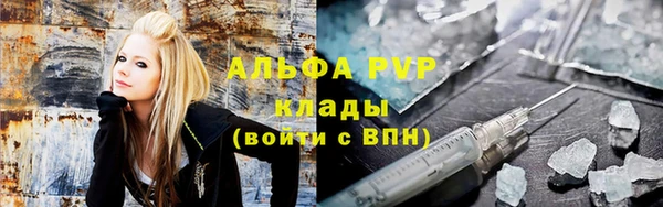 метадон Богданович