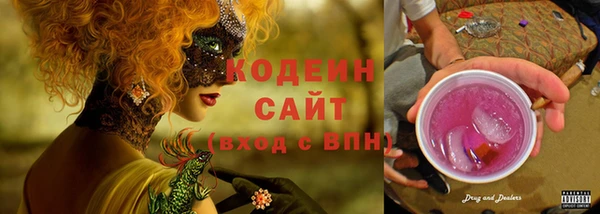 гидра Верхний Тагил