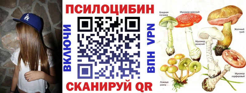 Псилоцибиновые грибы Cubensis  KRAKEN как зайти  Кизляр 